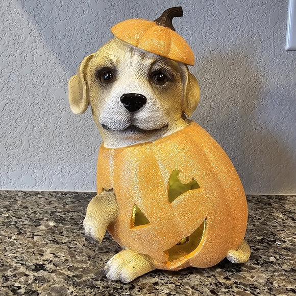 Very Cute Puppy in a Jack-o-Lantern - Excellent Condition - Picture 1 of 5